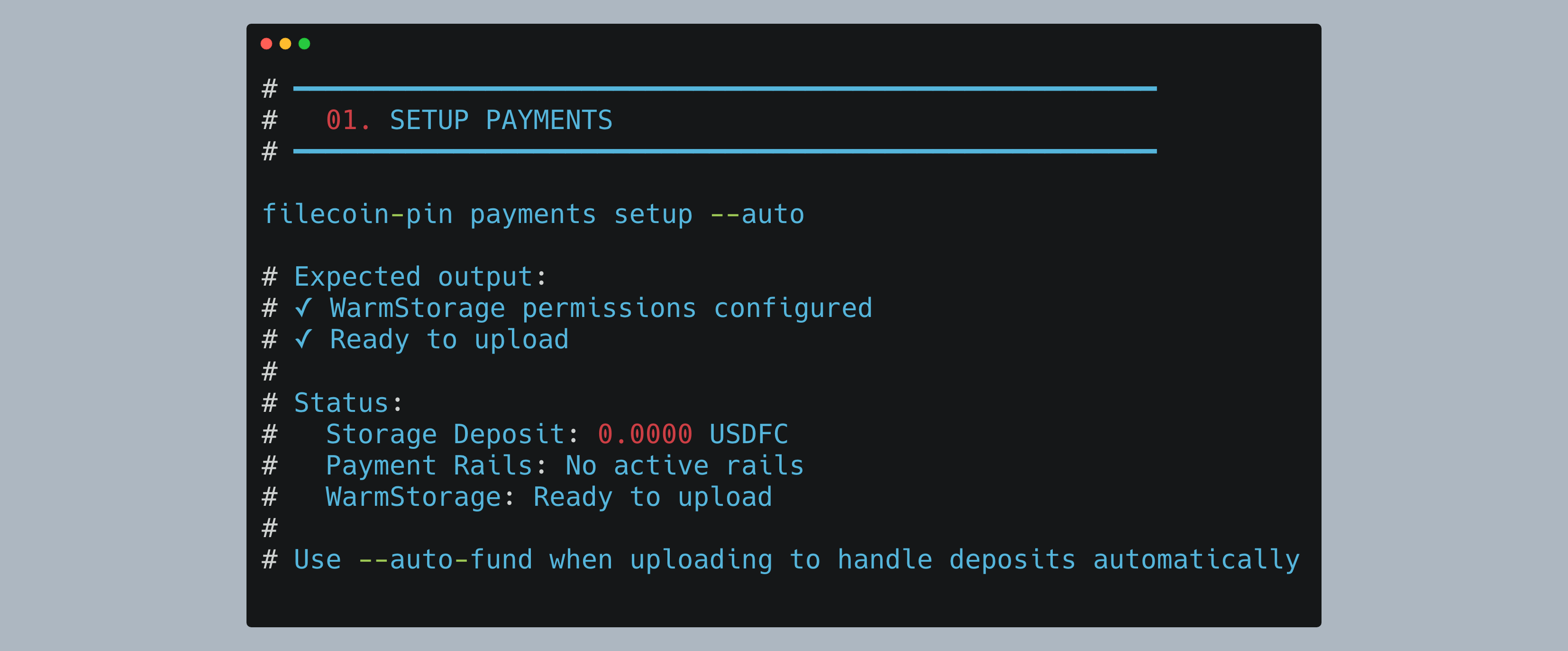 Setup Payments